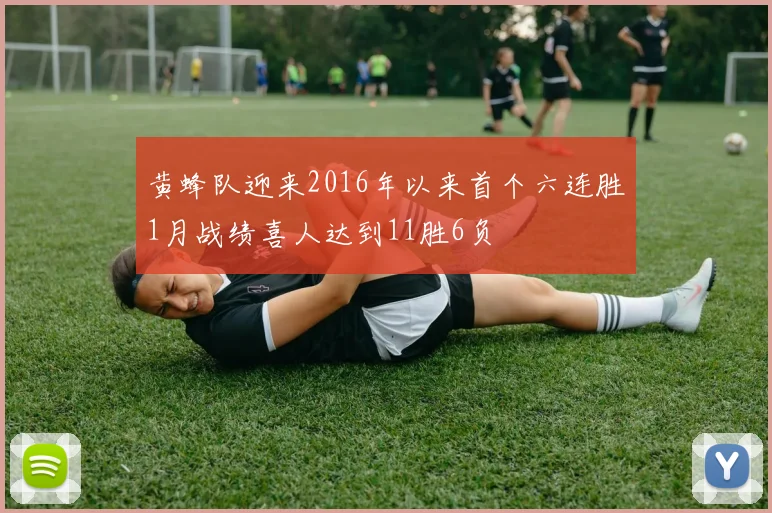 黄蜂队迎来2016年以来首个六连胜1月战绩喜人达到11胜6负